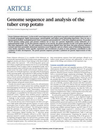 ARTICLE                                                                                                                                         doi:10.1038/nature10158




Genome sequence and analysis of the
tuber crop potato
The Potato Genome Sequencing Consortium*



   Potato (Solanum tuberosum L.) is the world’s most important non-grain food crop and is central to global food security. It
   is clonally propagated, highly heterozygous, autotetraploid, and suffers acute inbreeding depression. Here we use a
   homozygous doubled-monoploid potato clone to sequence and assemble 86% of the 844-megabase genome. We predict
   39,031 protein-coding genes and present evidence for at least two genome duplication events indicative of a
   palaeopolyploid origin. As the first genome sequence of an asterid, the potato genome reveals 2,642 genes specific to
   this large angiosperm clade. We also sequenced a heterozygous diploid clone and show that gene presence/absence
   variants and other potentially deleterious mutations occur frequently and are a likely cause of inbreeding depression.
   Gene family expansion, tissue-specific expression and recruitment of genes to new pathways contributed to the
   evolution of tuber development. The potato genome sequence provides a platform for genetic improvement of this
   vital crop.


Potato (Solanum tuberosum L.) is a member of the Solanaceae, an                               deep transcriptome sequence from both genotypes, allowed us to
economically important family that includes tomato, pepper, aubergine                         explore potato genome structure and organization, as well as key
(eggplant), petunia and tobacco. Potato belongs to the asterid clade of                       aspects of the biology and evolution of this important crop.
eudicot plants that represents ,25% of flowering plant species and
from which a complete genome sequence has not yet, to our knowledge,                          Genome assembly and annotation
been published. Potato occupies a wide eco-geographical range1 and is
                                                                                              We sequenced the nuclear and organellar genomes of DM using a
unique among the major world food crops in producing stolons (under-
                                                                                              whole-genome shotgun sequencing (WGS) approach. We generated
ground stems) that under suitable environmental conditions swell to
                                                                                              96.6 Gb of raw sequence from two next-generation sequencing (NGS)
form tubers. Its worldwide importance, especially within the developing
                                                                                              platforms, Illumina Genome Analyser and Roche Pyrosequencing, as
world, is growing rapidly, with production in 2009 reaching 330 million                       well as conventional Sanger sequencing technologies. The genome
tons (http://www.fao.org). The tubers are a globally important dietary                        was assembled using SOAPdenovo4, resulting in a final assembly of
source of starch, protein, antioxidants and vitamins2, serving the plant                      727 Mb, of which 93.9% is non-gapped sequence. Ninety per cent of
as both a storage organ and a vegetative propagation system. Despite the                      the assembly falls into 443 superscaffolds larger than 349 kb. The 17-
importance of tubers, the evolutionary and developmental mechanisms                           nucleotide depth distribution (Supplementary Fig. 1) suggests a gen-
of their initiation and growth remain elusive.                                                ome size of 844 Mb, consistent with estimates from flow cytometry5.
   Outside of its natural range in South America, the cultivated potato                       Our assembly of 727 Mb is 117 Mb less than the estimated genome
is considered to have a narrow genetic base resulting originally from                         size. Analysis of the DM scaffolds indicates 62.2% repetitive content in
limited germplasm introductions to Europe. Most potato cultivars are                          the assembled section of the DM genome, less than the 74.8% esti-
autotetraploid (2n 5 4x 5 48), highly heterozygous, suffer acute                              mated from bacterial artificial chromosome (BAC) and fosmid end
inbreeding depression, and are susceptible to many devastating pests                          sequences (Supplementary Table 1), indicating that much of the unas-
and pathogens, as exemplified by the Irish potato famine in the mid-                          sembled genome is composed of repetitive sequences.
nineteenth century. Together, these attributes present a significant                             We assessed the quality of the WGS assembly through alignment to
barrier to potato improvement using classical breeding approaches.                            Sanger-derived phase 2 BAC sequences. In an alignment length of
A challenge to the scientific community is to obtain a genome                                 ,1 Mb (99.4% coverage), no gross assembly errors were detected
sequence that will ultimately facilitate advances in breeding.                                (Supplementary Table 2 and Supplementary Fig. 2). Alignment of
   To overcome the key issue of heterozygosity and allow us to gen-                           fosmid and BAC paired-end sequences to the WGS scaffolds revealed
erate a high-quality draft potato genome sequence, we used a unique                           limited (#0.12%) potential misassemblies (Supplementary Table 3).
homozygous form of potato called a doubled monoploid, derived                                 Extensive coverage of the potato genome in this assembly was con-
using classical tissue culture techniques3. The draft genome sequence                         firmed using available expressed sequence tag (EST) data; 97.1% of
from this genotype, S. tuberosum group Phureja DM1-3 516 R44                                  181,558 available Sanger-sequenced S. tuberosum ESTs (.200 bp)
(hereafter referred to as DM), was used to integrate sequence data                            were detected. Repetitive sequences account for at least 62.2% of the
from a heterozygous diploid breeding line, S. tuberosum group                                 assembled genome (452.5 Mb) (Supplementary Table 1) with long
Tuberosum RH89-039-16 (hereafter referred to as RH). These two                                terminal repeat retrotransposons comprising the majority of the
genotypes represent a sample of potato genomic diversity; DM with                             transposable element classes, representing 29.4% of the genome. In
its fingerling (elongated) tubers was derived from a primitive South                          addition, subtelomeric repeats were identified at or near chromo-
American cultivar whereas RH more closely resembles commercially                              somal ends (Fig. 1). Using a newly constructed genetic map based
cultivated tetraploid potato. The combined data resources, allied to                          on 2,603 polymorphic markers in conjunction with other available
*Lists of authors and their affiliations appear at the end of the paper.


                                                                                                                        1 4 J U LY 2 0 1 1 | V O L 4 7 5 | N AT U R E | 1 8 9
                                                              ©2011 Macmillan Publishers Limited. All rights reserved
 