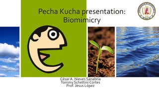 Pecha Kucha presentation:
Biomimicry
CésarA. Nieves Sanabria
Tommy Schettini Cortes
Prof. Jesus López
 
