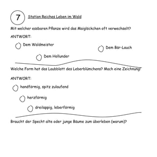 7     Station Reiches Leben im Wald


Mit welcher essbaren Pflanze wird das Maiglöckchen oft verwechselt?

ANTWORT:

       Dem Waldmeister
                                                     Dem Bär-Lauch

                  Dem Hollunder


Welche Form hat das Laubblatt des Leberblümchens? Mach eine Zeichnung!

ANTWORT:

     handförmig, spitz zulaufend

         herzförmig

             dreilappig, leberförmig


Braucht der Specht alte oder junge Bäume zum überleben (warum)?
 