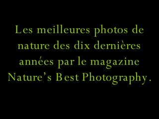 Les meilleures photos de nature des dix dernières années par le magazine Nature’s Best Photography.