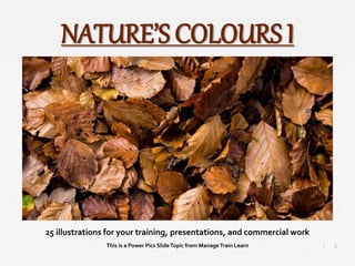 1
|
Nature’s Colours I
Manage Train Learn Power Pics
25 illustrations for your training, presentations, and commercial work
This is a Power Pics SlideTopic from ManageTrain Learn
NATURE’S COLOURS I
 