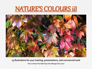 1
|
Nature’s Colours III
Manage Train Learn Power Pics
25 illustrations for your training, presentations, and commercial work
This is a Power Pics SlideTopic from ManageTrain Learn
NATURE’S COLOURS iiI
 