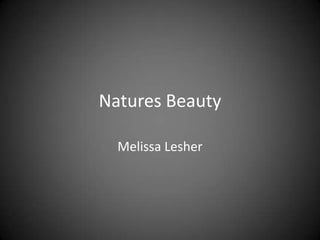Natures Beauty Melissa Lesher 