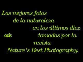 Las mejores fotos  de la naturaleza  en los últimos diez años  tomadas por la revista  Nature’s Best Photography. 