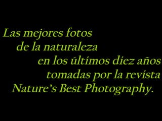 Las mejores fotos  de la naturaleza  en los últimos diez años  tomadas por la revista  Nature’s Best Photography. 