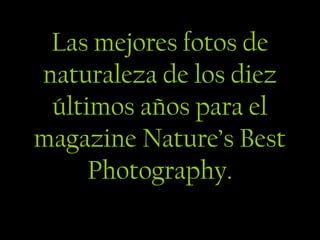 Las mejores fotos de
naturaleza de los diez
 últimos años para el
magazine Nature’s Best
     Photography.
 