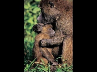 Natures best photography