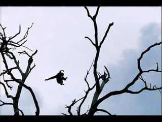 Natures best photography