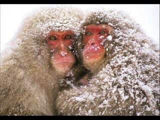 Natures best photography