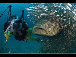 Natures best photography