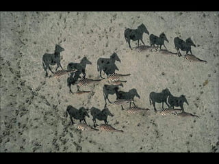 Natures best photography