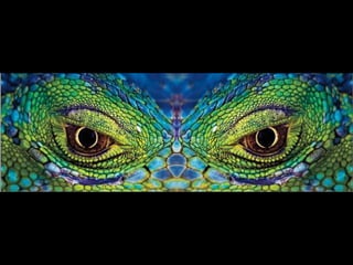 Natures best photography