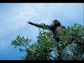 Natures best photography