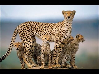 Natures best photography