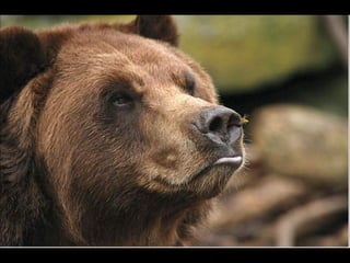 Natures best photography