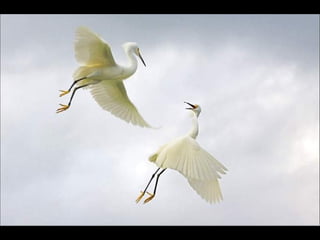 Natures best photography