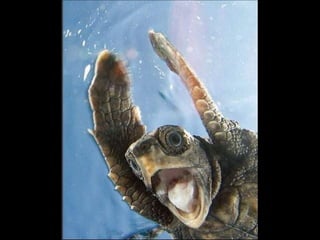 Natures best photography