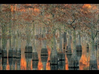 Natures best photography