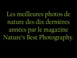 Les meilleures photos de
nature des dix dernières
années par le magazine
Nature’s Best Photography.
 