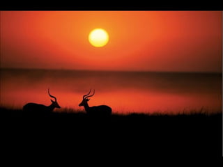 Nature s best_photography_ab