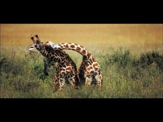 Nature s best_photography_ab