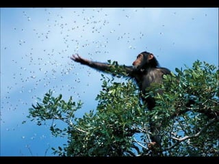 Nature s best_photography_ab