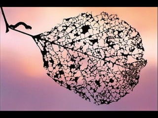 Nature s best_photography_ab