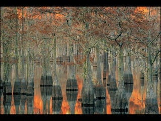 Nature s best_photography_ab