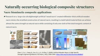 Natural Occuring Structures Nature’s Blueprint - Biomimetic Composites.pdf