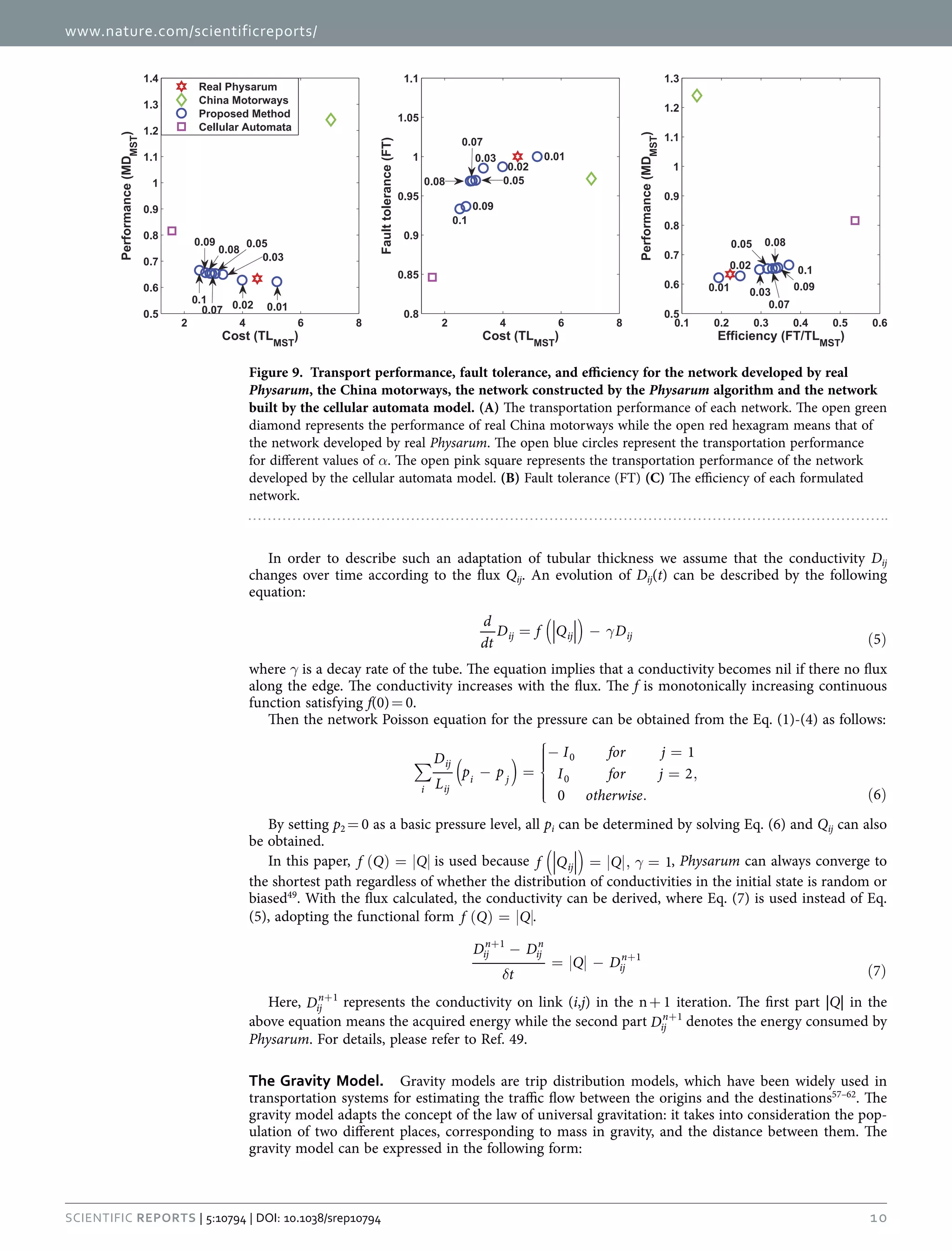 www.nature.com/scientificreports/
10Scientific Reports | 5:10794 | DOI: 10.1038/srep10794
In order to describe such an adaptation of tubular thickness we assume that the conductivity Dij
changes over time according to the flux Qij. An evolution of Dij(t) can be described by the following
equation:
( ) γ= −
( )
d
dt
D f Q D
5ij ij ij
where γ is a decay rate of the tube. The equation implies that a conductivity becomes nil if there no flux
along the edge. The conductivity increases with the flux. The f is monotonically increasing continuous
function satisfying f(0) =  0.
Then the network Poisson equation for the pressure can be obtained from the Eq. (1)-(4) as follows:
( )∑ − =





− =
= ,
. ( )
D
L
p p
I for j
I for j
otherwise
1
2
0 6i
ij
ij
i j
0
0
By setting p2 =  0 as a basic pressure level, all pi can be determined by solving Eq. (6) and Qij can also
be obtained.
In this paper, ( ) =f Q Q is used because ( ) γ= , =f Q Q 1ij , Physarum can always converge to
the shortest path regardless of whether the distribution of conductivities in the initial state is random or
biased49
. With the flux calculated, the conductivity can be derived, where Eq. (7) is used instead of Eq.
(5), adopting the functional form ( ) =f Q Q .
δ
−
= −
( )
+
+
D D
t
Q D
7
ij
n
ij
n
ij
n
1
1
Here, +
Dij
n 1
represents the conductivity on link (i,j) in the n +  1 iteration. The first part |Q| in the
above equation means the acquired energy while the second part +
Dij
n 1
denotes the energy consumed by
Physarum. For details, please refer to Ref. 49.
The Gravity Model.  Gravity models are trip distribution models, which have been widely used in
transportation systems for estimating the traffic flow between the origins and the destinations57–62
. The
gravity model adapts the concept of the law of universal gravitation: it takes into consideration the pop-
ulation of two different places, corresponding to mass in gravity, and the distance between them. The
gravity model can be expressed in the following form:
Figure 9.  Transport performance, fault tolerance, and efficiency for the network developed by real
Physarum, the China motorways, the network constructed by the Physarum algorithm and the network
built by the cellular automata model. (A) The transportation performance of each network. The open green
diamond represents the performance of real China motorways while the open red hexagram means that of
the network developed by real Physarum. The open blue circles represent the transportation performance
for different values of α. The open pink square represents the transportation performance of the network
developed by the cellular automata model. (B) Fault tolerance (FT) (C) The efficiency of each formulated
network.
 