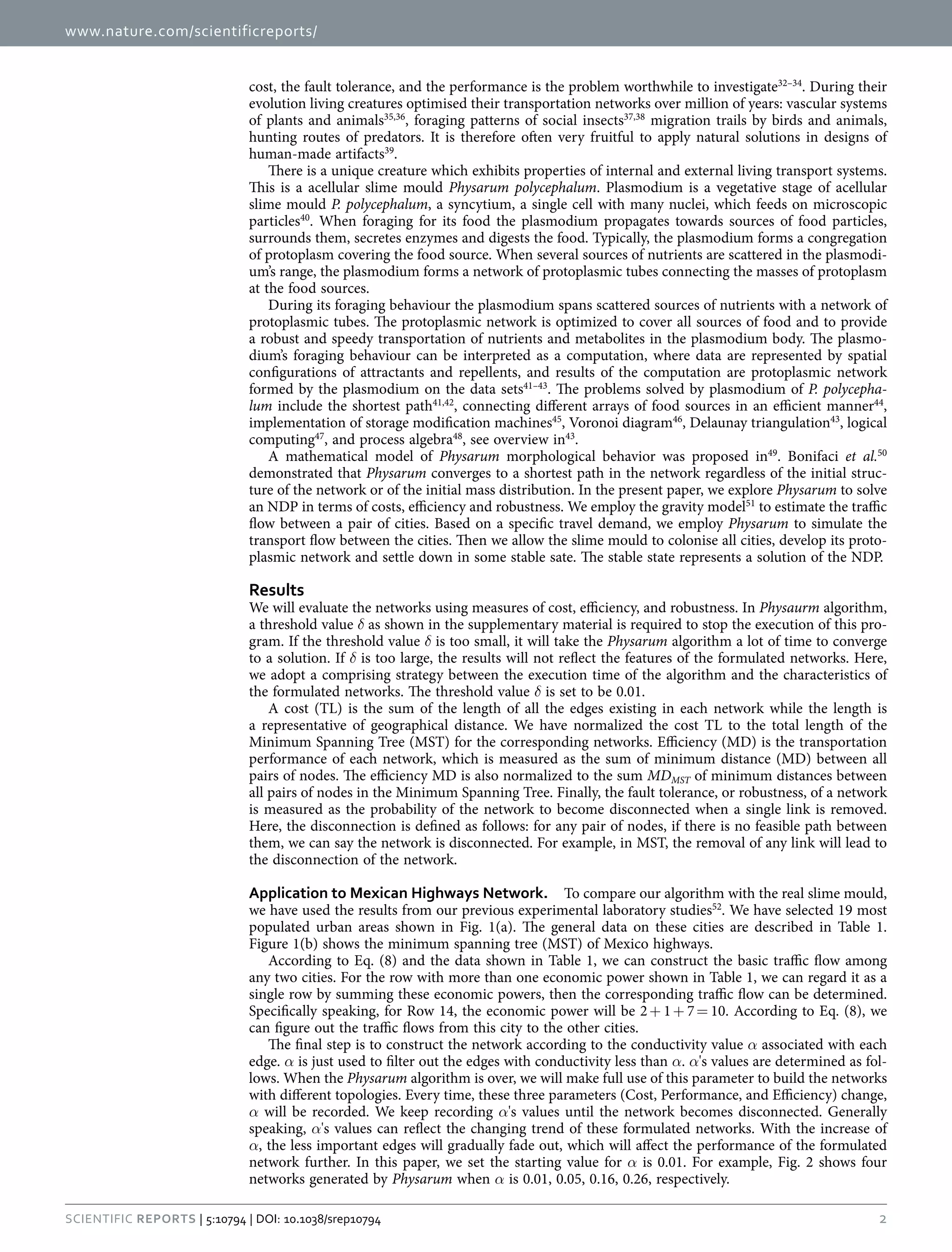 www.nature.com/scientificreports/
2Scientific Reports | 5:10794 | DOI: 10.1038/srep10794
cost, the fault tolerance, and the performance is the problem worthwhile to investigate32–34
. During their
evolution living creatures optimised their transportation networks over million of years: vascular systems
of plants and animals35,36
, foraging patterns of social insects37,38
migration trails by birds and animals,
hunting routes of predators. It is therefore often very fruitful to apply natural solutions in designs of
human-made artifacts39
.
There is a unique creature which exhibits properties of internal and external living transport systems.
This is a acellular slime mould Physarum polycephalum. Plasmodium is a vegetative stage of acellular
slime mould P. polycephalum, a syncytium, a single cell with many nuclei, which feeds on microscopic
particles40
. When foraging for its food the plasmodium propagates towards sources of food particles,
surrounds them, secretes enzymes and digests the food. Typically, the plasmodium forms a congregation
of protoplasm covering the food source. When several sources of nutrients are scattered in the plasmodi-
um’s range, the plasmodium forms a network of protoplasmic tubes connecting the masses of protoplasm
at the food sources.
During its foraging behaviour the plasmodium spans scattered sources of nutrients with a network of
protoplasmic tubes. The protoplasmic network is optimized to cover all sources of food and to provide
a robust and speedy transportation of nutrients and metabolites in the plasmodium body. The plasmo-
dium’s foraging behaviour can be interpreted as a computation, where data are represented by spatial
configurations of attractants and repellents, and results of the computation are protoplasmic network
formed by the plasmodium on the data sets41–43
. The problems solved by plasmodium of P. polycepha-
lum include the shortest path41,42
, connecting different arrays of food sources in an efficient manner44
,
implementation of storage modification machines45
, Voronoi diagram46
, Delaunay triangulation43
, logical
computing47
, and process algebra48
, see overview in43
.
A mathematical model of Physarum morphological behavior was proposed in49
. Bonifaci et al.50
demonstrated that Physarum converges to a shortest path in the network regardless of the initial struc-
ture of the network or of the initial mass distribution. In the present paper, we explore Physarum to solve
an NDP in terms of costs, efficiency and robustness. We employ the gravity model51
to estimate the traffic
flow between a pair of cities. Based on a specific travel demand, we employ Physarum to simulate the
transport flow between the cities. Then we allow the slime mould to colonise all cities, develop its proto-
plasmic network and settle down in some stable sate. The stable state represents a solution of the NDP.
Results
We will evaluate the networks using measures of cost, efficiency, and robustness. In Physaurm algorithm,
a threshold value δ as shown in the supplementary material is required to stop the execution of this pro-
gram. If the threshold value δ is too small, it will take the Physarum algorithm a lot of time to converge
to a solution. If δ is too large, the results will not reflect the features of the formulated networks. Here,
we adopt a comprising strategy between the execution time of the algorithm and the characteristics of
the formulated networks. The threshold value δ is set to be 0.01.
A cost (TL) is the sum of the length of all the edges existing in each network while the length is
a representative of geographical distance. We have normalized the cost TL to the total length of the
Minimum Spanning Tree (MST) for the corresponding networks. Efficiency (MD) is the transportation
performance of each network, which is measured as the sum of minimum distance (MD) between all
pairs of nodes. The efficiency MD is also normalized to the sum MDMST of minimum distances between
all pairs of nodes in the Minimum Spanning Tree. Finally, the fault tolerance, or robustness, of a network
is measured as the probability of the network to become disconnected when a single link is removed.
Here, the disconnection is defined as follows: for any pair of nodes, if there is no feasible path between
them, we can say the network is disconnected. For example, in MST, the removal of any link will lead to
the disconnection of the network.
Application to Mexican Highways Network.  To compare our algorithm with the real slime mould,
we have used the results from our previous experimental laboratory studies52
. We have selected 19 most
populated urban areas shown in Fig.  1(a). The general data on these cities are described in Table  1.
Figure 1(b) shows the minimum spanning tree (MST) of Mexico highways.
According to Eq. (8) and the data shown in Table 1, we can construct the basic traffic flow among
any two cities. For the row with more than one economic power shown in Table 1, we can regard it as a
single row by summing these economic powers, then the corresponding traffic flow can be determined.
Specifically speaking, for Row 14, the economic power will be 2 +  1 +  7 =  10. According to Eq. (8), we
can figure out the traffic flows from this city to the other cities.
The final step is to construct the network according to the conductivity value α associated with each
edge. α is just used to filter out the edges with conductivity less than α. α's values are determined as fol-
lows. When the Physarum algorithm is over, we will make full use of this parameter to build the networks
with different topologies. Every time, these three parameters (Cost, Performance, and Efficiency) change,
α will be recorded. We keep recording α's values until the network becomes disconnected. Generally
speaking, α's values can reflect the changing trend of these formulated networks. With the increase of
α, the less important edges will gradually fade out, which will affect the performance of the formulated
network further. In this paper, we set the starting value for α is 0.01. For example, Fig. 2 shows four
networks generated by Physarum when α is 0.01, 0.05, 0.16, 0.26, respectively.
 