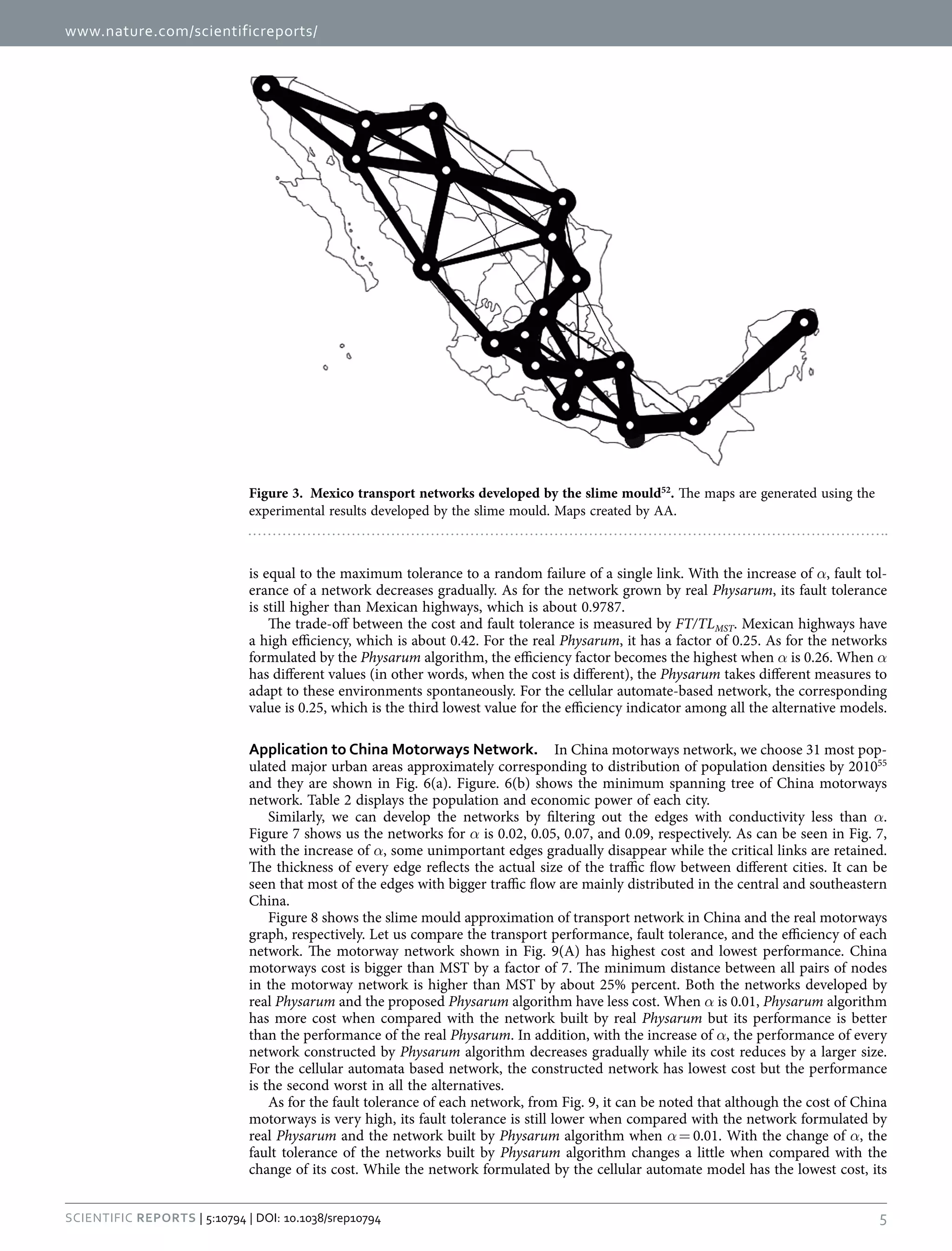 www.nature.com/scientificreports/
5Scientific Reports | 5:10794 | DOI: 10.1038/srep10794
is equal to the maximum tolerance to a random failure of a single link. With the increase of α, fault tol-
erance of a network decreases gradually. As for the network grown by real Physarum, its fault tolerance
is still higher than Mexican highways, which is about 0.9787.
The trade-off between the cost and fault tolerance is measured by FT/TLMST. Mexican highways have
a high efficiency, which is about 0.42. For the real Physarum, it has a factor of 0.25. As for the networks
formulated by the Physarum algorithm, the efficiency factor becomes the highest when α is 0.26. When α
has different values (in other words, when the cost is different), the Physarum takes different measures to
adapt to these environments spontaneously. For the cellular automate-based network, the corresponding
value is 0.25, which is the third lowest value for the efficiency indicator among all the alternative models.
Application to China Motorways Network.  In China motorways network, we choose 31 most pop-
ulated major urban areas approximately corresponding to distribution of population densities by 201055
and they are shown in Fig. 6(a). Figure. 6(b) shows the minimum spanning tree of China motorways
network. Table 2 displays the population and economic power of each city.
Similarly, we can develop the networks by filtering out the edges with conductivity less than α.
Figure 7 shows us the networks for α is 0.02, 0.05, 0.07, and 0.09, respectively. As can be seen in Fig. 7,
with the increase of α, some unimportant edges gradually disappear while the critical links are retained.
The thickness of every edge reflects the actual size of the traffic flow between different cities. It can be
seen that most of the edges with bigger traffic flow are mainly distributed in the central and southeastern
China.
Figure 8 shows the slime mould approximation of transport network in China and the real motorways
graph, respectively. Let us compare the transport performance, fault tolerance, and the efficiency of each
network. The motorway network shown in Fig. 9(A) has highest cost and lowest performance. China
motorways cost is bigger than MST by a factor of 7. The minimum distance between all pairs of nodes
in the motorway network is higher than MST by about 25% percent. Both the networks developed by
real Physarum and the proposed Physarum algorithm have less cost. When α is 0.01, Physarum algorithm
has more cost when compared with the network built by real Physarum but its performance is better
than the performance of the real Physarum. In addition, with the increase of α, the performance of every
network constructed by Physarum algorithm decreases gradually while its cost reduces by a larger size.
For the cellular automata based network, the constructed network has lowest cost but the performance
is the second worst in all the alternatives.
As for the fault tolerance of each network, from Fig. 9, it can be noted that although the cost of China
motorways is very high, its fault tolerance is still lower when compared with the network formulated by
real Physarum and the network built by Physarum algorithm when α =  0.01. With the change of α, the
fault tolerance of the networks built by Physarum algorithm changes a little when compared with the
change of its cost. While the network formulated by the cellular automate model has the lowest cost, its
Figure 3.  Mexico transport networks developed by the slime mould52
. The maps are generated using the
experimental results developed by the slime mould. Maps created by AA.
 