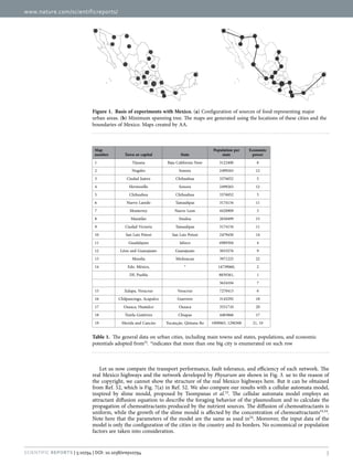 www.nature.com/scientificreports/
3Scientific Reports | 5:10794 | DOI: 10.1038/srep10794
Let us now compare the transport performance, fault tolerance, and efficiency of each network. The
real Mexico highways and the network developed by Physarum are shown in Fig. 3. ue to the reason of
the copyright, we cannot show the structure of the real Mexico highways here. But it can be obtained
from Ref. 52, which is Fig. 7(a) in Ref. 52. We also compare our results with a cellular automata model,
inspired by slime mould, proposed by Tsompanas et al.53
. The cellular automata model employs an
attractant diffusion equation to describe the foraging behavior of the plasmodium and to calculate the
propagation of chemoattractants produced by the nutrient sources. The diffusion of chemoattractants is
uniform, while the growth of the slime mould is affected by the concentration of chemoattractants53,54
.
Note here that the parameters of the model are the same as used in54
. Moreover, the input data of the
model is only the configuration of the cities in the country and its borders. No economical or population
factors are taken into consideration.
Figure 1.  Basis of experiments with Mexico. (a) Configuration of sources of food representing major
urban areas. (b) Minimum spanning tree. The maps are generated using the locations of these cities and the
boundaries of Mexico. Maps created by AA.
Map
number Town or capital State
Population per
state
Economic
power
1 Tijuana Baja California Nore 3122400 8
2 Nogales Sonora 2499263 12
3 Ciudad Juárez Chihuahua 3376052 5
4 Hermosillo Sonora 2499263 12
5 Chihuahua Chihuahua 3376052 5
6 Nuevo Laredo Tamaulipas 3174134 11
7 Monterrey Nuevo Leon 4420909 3
8 Mazatlán Sinaloa 2650499 15
9 Ciudad Victoria Tamaulipas 3174134 11
10 San Luis Potosí San Luis Potosí 2479450 14
11 Guadalajara Jalisco 6989304 4
12 Léon and Guanajuato Guanajuato 5033276 9
13 Morelia Michoacan 3971225 22
14 Edo. México, * 14739060, 2
DF, Puebla 8839361, 1
5624104 7
15 Xalapa, Veracruz Veracruz 7270413 6
16 Chilpancingo, Acapulco Guerrero 3143292 18
17 Oaxaca, Huatulco Oaxaca 3551710 20
18 Tuxtla Gutiérrez Chiapas 4483866 17
19 Merida and Cancún Yucata¡än, Qintana Ro 1909965, 1290300 21, 19
Table 1.  The general data on urban cities, including main towns and states, populations, and economic
potentials adopted from52
. *indicates that more than one big city is enumerated on such row
 
