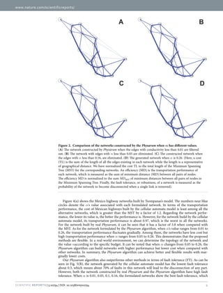 www.nature.com/scientificreports/
4Scientific Reports | 5:10794 | DOI: 10.1038/srep10794
Figure 4(a) shows the Mexico highway networks built by Tsompanas’s model. The numbers near blue
circles denote the α's value associated with each formulated network. In terms of the transportation
performance, the cost of Mexican highways built by the cellular automata model is least among all the
alternative networks, which is greater than the MST by a factor of 1.2. Regarding the network perfor-
mance, the lower its value is, the better the performance is. However, for the network build by the cellular
automata model, its transportation performance is about 0.97, which is the worst in all the networks.
For the network built by real Physarum, it can be seen that it has a factor of 3.8 when compared with
the MST. As for the network formulated by the Physarum algorithm, when α’s value ranges from 0.01 to
0.26, the transportation performance fluctuates gradually. Among them, the networks have less cost but
high transportation performance when α ranges from 0.05 to 0.26. This demonstrates that the proposed
methods are flexible. In a real-world environment, we can determine the topology of the network and
the value αaccording to the specific budget. It can be noted that when α changes from 0.05 to 0.26, the
Physarum algorithm can build networks with higher performance but lower cost when compared with
other networks. In summary, the Physarum algorithm can achieve better and flexible results with mar-
ginally lower costs.
Our Physarum algorithm also outperforms other methods in terms of fault tolerance (FT). As can be
seen in Fig. 5(B), the network generated by the cellular automate model has the lowest fault tolerance
about 0.3, which means about 70% of faults in this network will lead to the disconnection of any part.
However, both the network constructed by real Physarum and the Physarum algorithm have high fault
tolerance. When α is 0.01, 0.05, 0.1, 0.16, the formulated networks show the best fault tolerance, which
Figure 2.  Comparison of the networks constructed by the Physarum when α has different values.
(A) The network constructed by Physarum when the edges with conductivity less than 0.01 are filtered
out. (B) The network with edges with α less than 0.05 are eliminated. (C) The constructed network when
the edges with α less than 0.16, are eliminated. (D) The generated network when α is 0.26. (Here, a cost
(TL) is the sum of the length of all the edges existing in each network while the length is a representative
of geographical distance. We have normalized the cost TL to the total length of the Minimum Spanning
Tree (MST) for the corresponding networks. An efficiency (MD) is the transportation performance of
each network, which is measured as the sum of minimum distance (MD) between all pairs of nodes.
The efficiency MD is normalized to the sum MDMST of minimum distances between all pairs of nodes in
the Minimum Spanning Tree. Finally, the fault tolerance, or robustness, of a network is measured as the
probability of the network to become disconnected when a single link is removed).
 