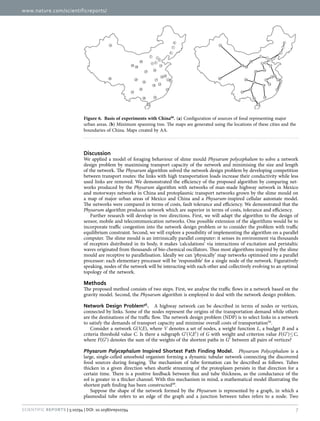 www.nature.com/scientificreports/
7Scientific Reports | 5:10794 | DOI: 10.1038/srep10794
Discussion
We applied a model of foraging behaviour of slime mould Physarum polycephalum to solve a network
design problem by maximising transport capacity of the network and minimising the size and length
of the network. The Physarum algorithm solved the network design problem by developing competition
between transport routes: the links with high transportation loads increase their conductivity while less
used links are removed. We demonstrated the efficiency of the proposed algorithm by comparing net-
works produced by the Physarum algorithm with networks of man-made highway network in Mexico
and motorways networks in China and protoplasmic transport networks grown by the slime mould on
a map of major urban areas of Mexico and China and a Physarum-inspired cellular automate model.
The networks were compared in terms of costs, fault tolerance and efficiency. We demonstrated that the
Physarum algorithm produces network which are superior in terms of costs, tolerance and efficiency.
Further research will develop in two directions. First, we will adapt the algorithm to the design of
sensor, mobile and telecommunication networks. One possible extension of the algorithms would be to
incorporate traffic congestion into the network design problem or to consider the problem with traffic
equilibrium constraint. Second, we will explore a possibility of implementing the algorithm on a parallel
computer. The slime mould is an intrinsically parallel computer: it senses its environment via thousands
of receptors distributed in its body, it makes ‘calculations’ via interactions of excitation and peristaltic
waves originated from thousands of bio-chemical oscillators. Thus most algorithms inspired by the slime
mould are receptive to parallelisation. Ideally we can ‘physically’ map networks optimised into a parallel
processor: each elementary processor will be ‘responsible’ for a single node of the network. Figuratively
speaking, nodes of the network will be interacting with each other and collectively evolving to an optimal
topology of the network.
Methods
The proposed method consists of two steps. First, we analyse the traffic flows in a network based on the
gravity model. Second, the Physarum algorithm is employed to deal with the network design problem.
Network Design Problem56
.  A highway network can be described in terms of nodes or vertices,
connected by links. Some of the nodes represent the origins of the transportation demand while others
are the destinations of the traffic flow. The network design problem (NDP) is to select links in a network
to satisfy the demands of transport capacity and minimise overall costs of transportation56
.
Consider a network G(V,E), where V denotes a set of nodes, a weight function L, a budget B and a
criteria threshold value C. Is there a subgraph G′ (V,E′ ) of G with weight and criterion value F(G′ )≤ C,
where F(G′ ) denotes the sum of the weights of the shortest paths in G′ between all pairs of vertices?
Physarum Polycephalum Inspired Shortest Path Finding Model.  Physarum Polycephalum is a
large, single-celled amoeboid organism forming a dynamic tubular network connecting the discovered
food sources during foraging. The mechanism of tube formation can be described as follows. Tubes
thicken in a given direction when shuttle streaming of the protoplasm persists in that direction for a
certain time. There is a positive feedback between flux and tube thickness, as the conductance of the
sol is greater in a thicker channel. With this mechanism in mind, a mathematical model illustrating the
shortest path finding has been constructed49
.
Suppose the shape of the network formed by the Physarum is represented by a graph, in which a
plasmodial tube refers to an edge of the graph and a junction between tubes refers to a node. Two
Figure 6.  Basis of experiments with China66
. (a) Configuration of sources of food representing major
urban areas. (b) Minimum spanning tree. The maps are generated using the locations of these cities and the
boundaries of China. Maps created by AA.
 