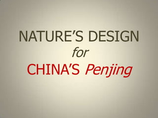 NATURE‟S DESIGN

      for
 CHINA‟S Penjing
 