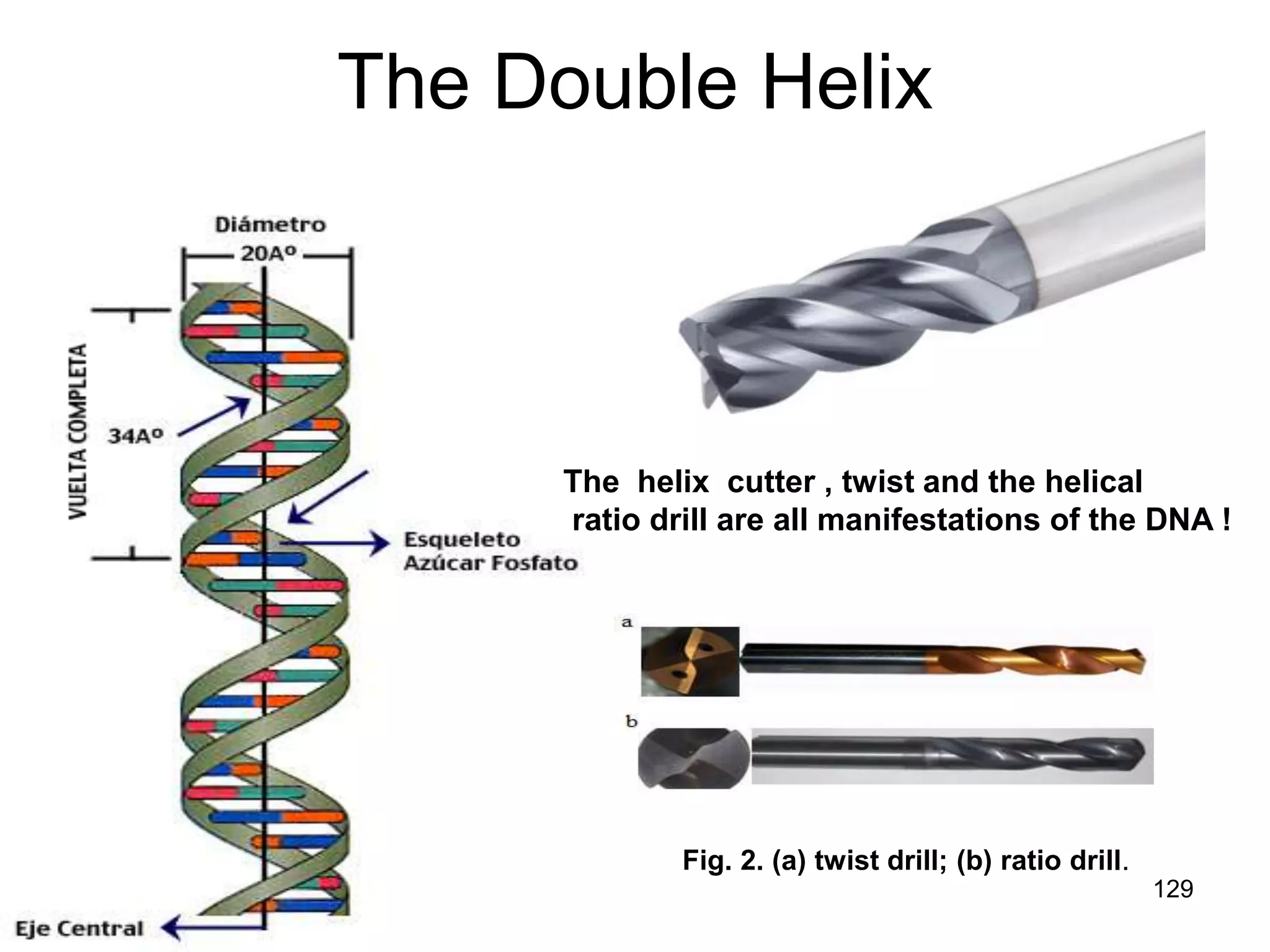 8/18/2022 129
The Double Helix
The helix cutter , twist and the helical
ratio drill are all manifestations of the DNA !
Fig. 2. (a) twist drill; (b) ratio drill.
 