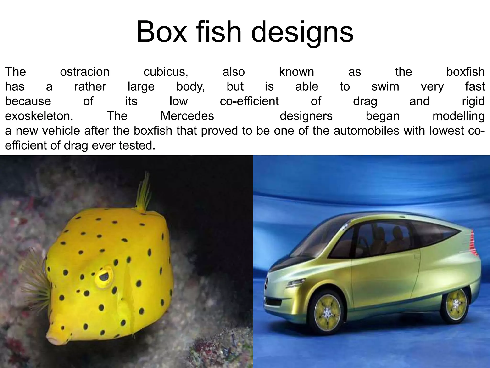 8/18/2022 131
Box fish designs
The ostracion cubicus, also known as the boxfish
has a rather large body, but is able to swim very fast
because of its low co-efficient of drag and rigid
exoskeleton. The Mercedes designers began modelling
a new vehicle after the boxfish that proved to be one of the automobiles with lowest co-
efficient of drag ever tested.
 