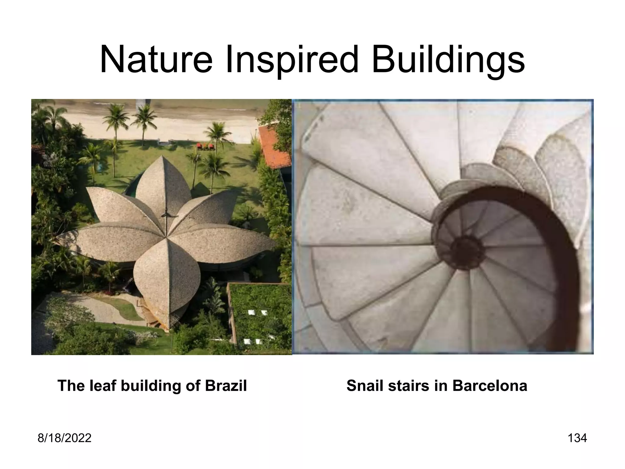 8/18/2022 134
Nature Inspired Buildings
The leaf building of Brazil Snail stairs in Barcelona
 