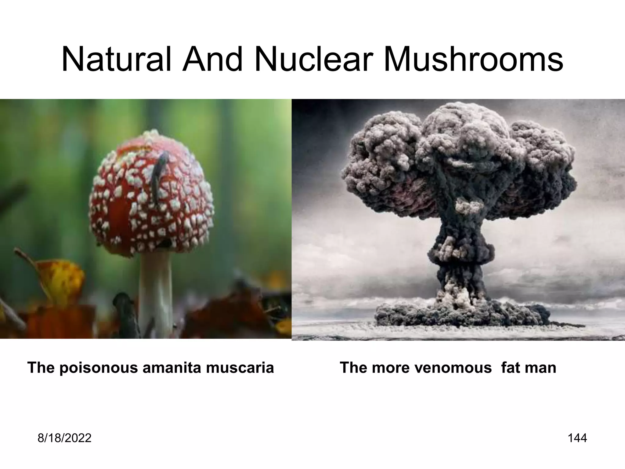 8/18/2022 144
Natural And Nuclear Mushrooms
The poisonous amanita muscaria The more venomous fat man
 