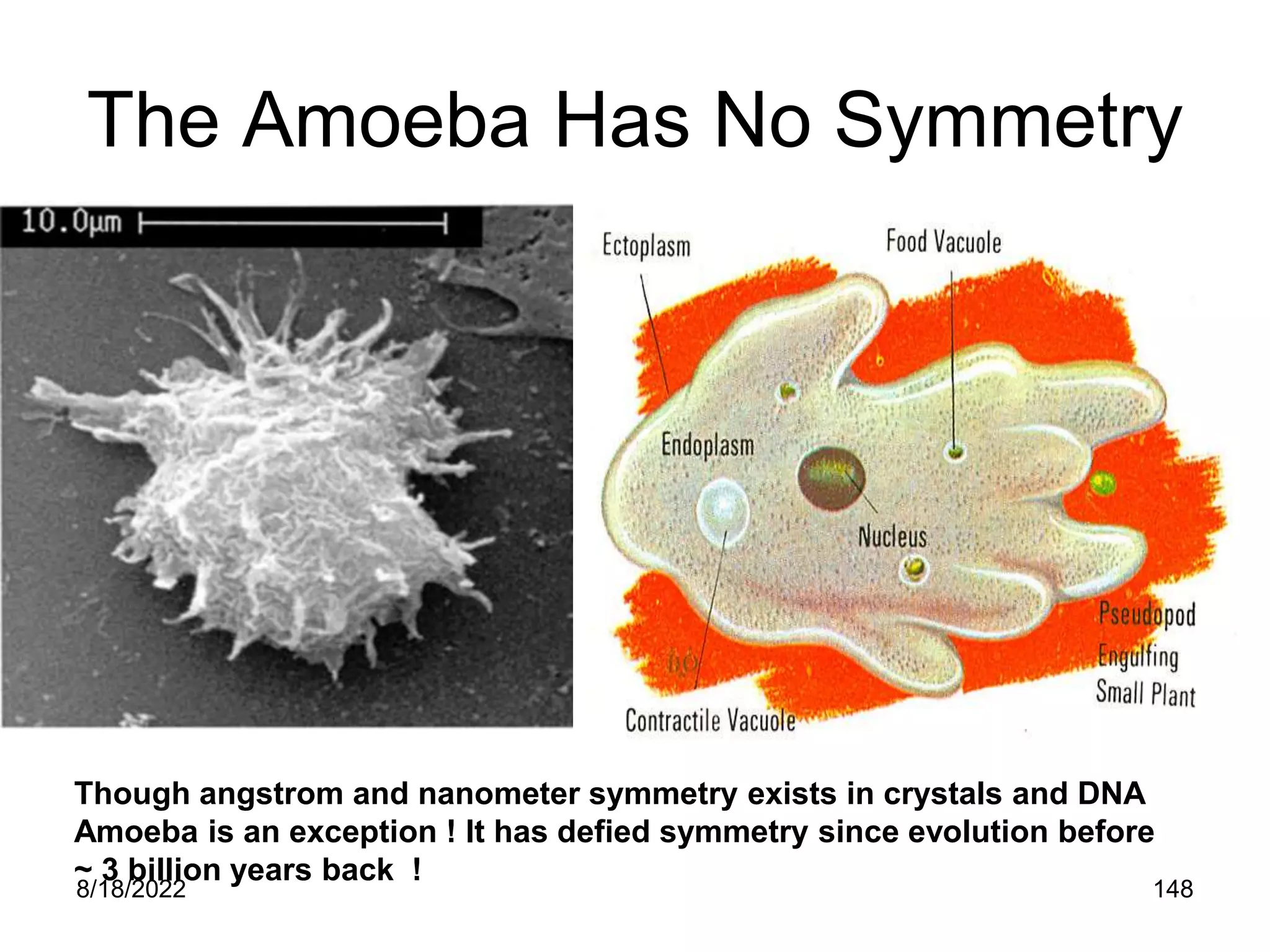 8/18/2022 148
The Amoeba Has No Symmetry
Though angstrom and nanometer symmetry exists in crystals and DNA
Amoeba is an exception ! It has defied symmetry since evolution before
~ 3 billion years back !
 