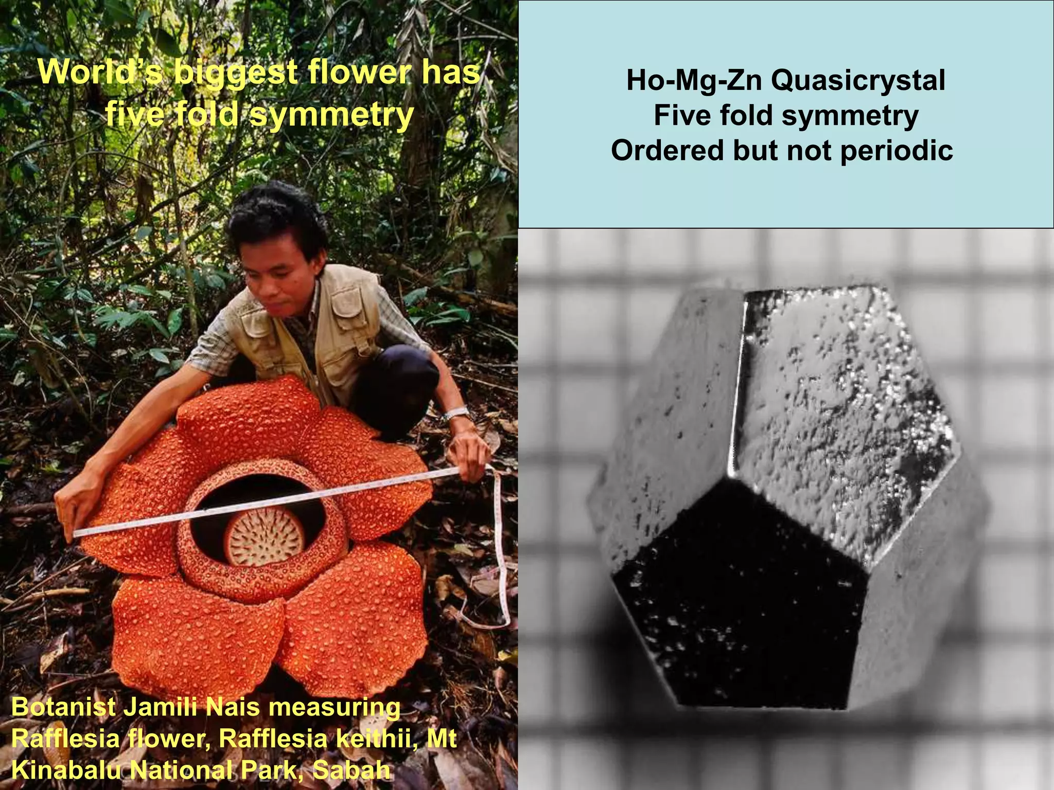 8/18/2022 28
Botanist Jamili Nais measuring
Rafflesia flower, Rafflesia keithii, Mt
Kinabalu National Park, Sabah
World’s biggest flower has
five fold symmetry
Ho-Mg-Zn Quasicrystal
Five fold symmetry
Ordered but not periodic
 