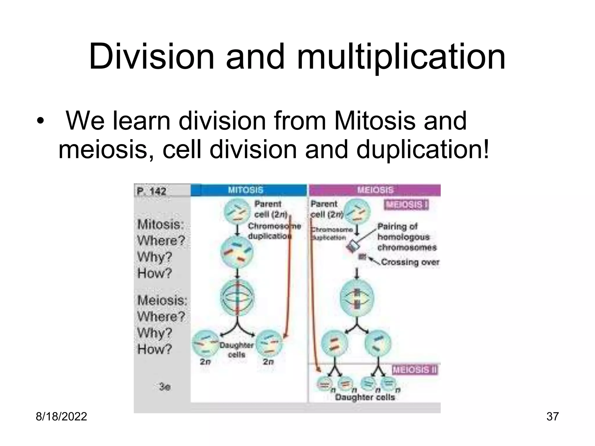 8/18/2022 37
Division and multiplication
• We learn division from Mitosis and
meiosis, cell division and duplication!
 