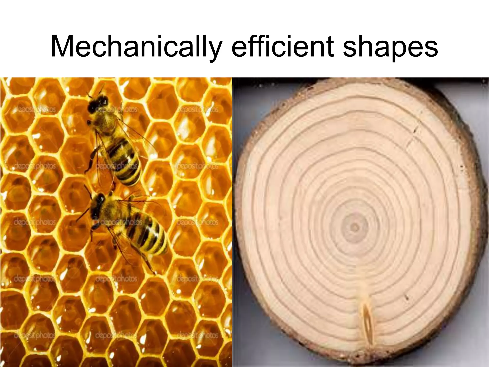 8/18/2022 52
Mechanically efficient shapes
 