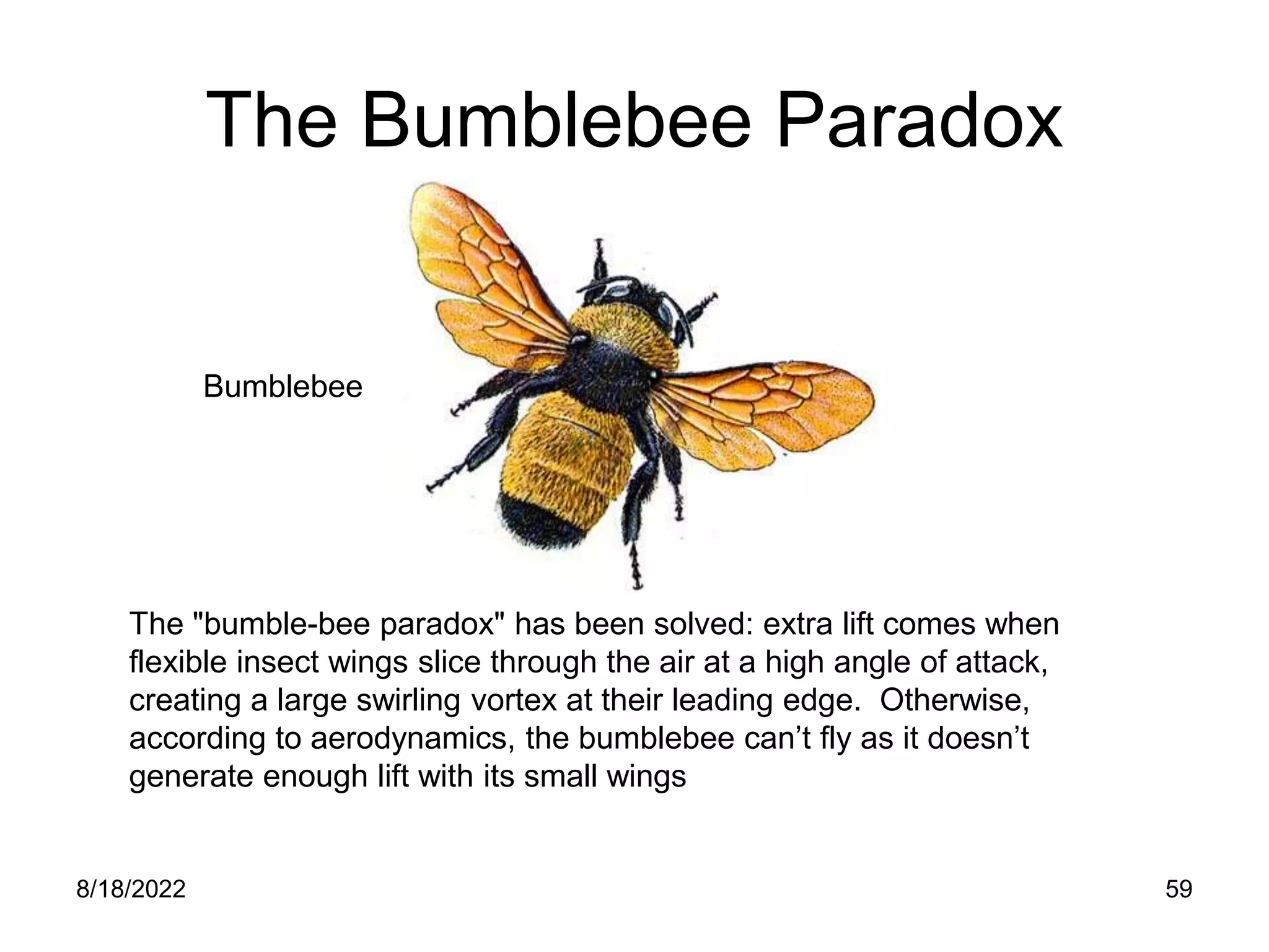 8/18/2022 59
The Bumblebee Paradox
Bumblebee
The "bumble-bee paradox" has been solved: extra lift comes when
flexible insect wings slice through the air at a high angle of attack,
creating a large swirling vortex at their leading edge. Otherwise,
according to aerodynamics, the bumblebee can’t fly as it doesn’t
generate enough lift with its small wings
 