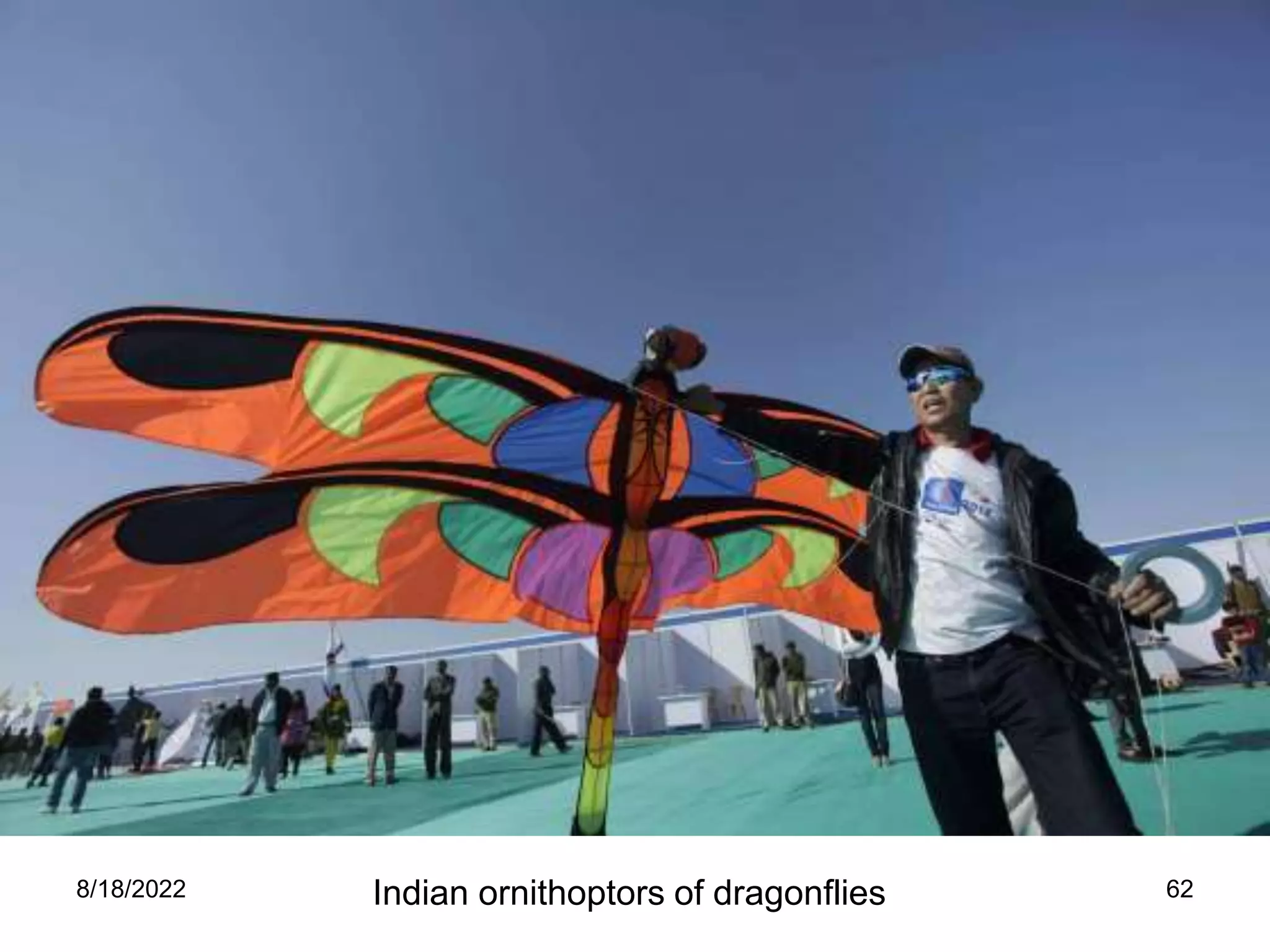 8/18/2022 62
Indian ornithoptors of dragonflies
 