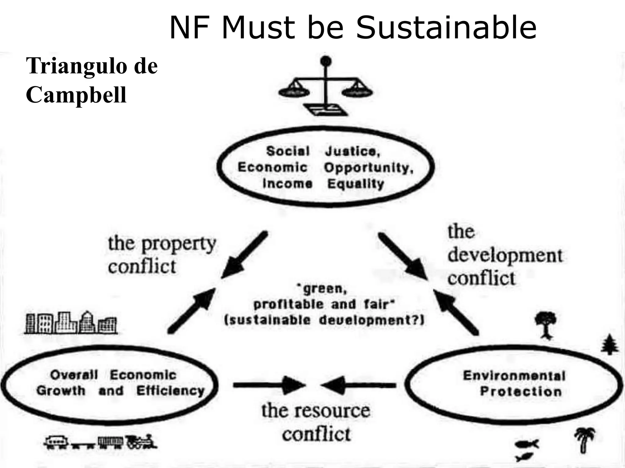 8/18/2022 73
Triangulo de
Campbell
NF Must be Sustainable
 