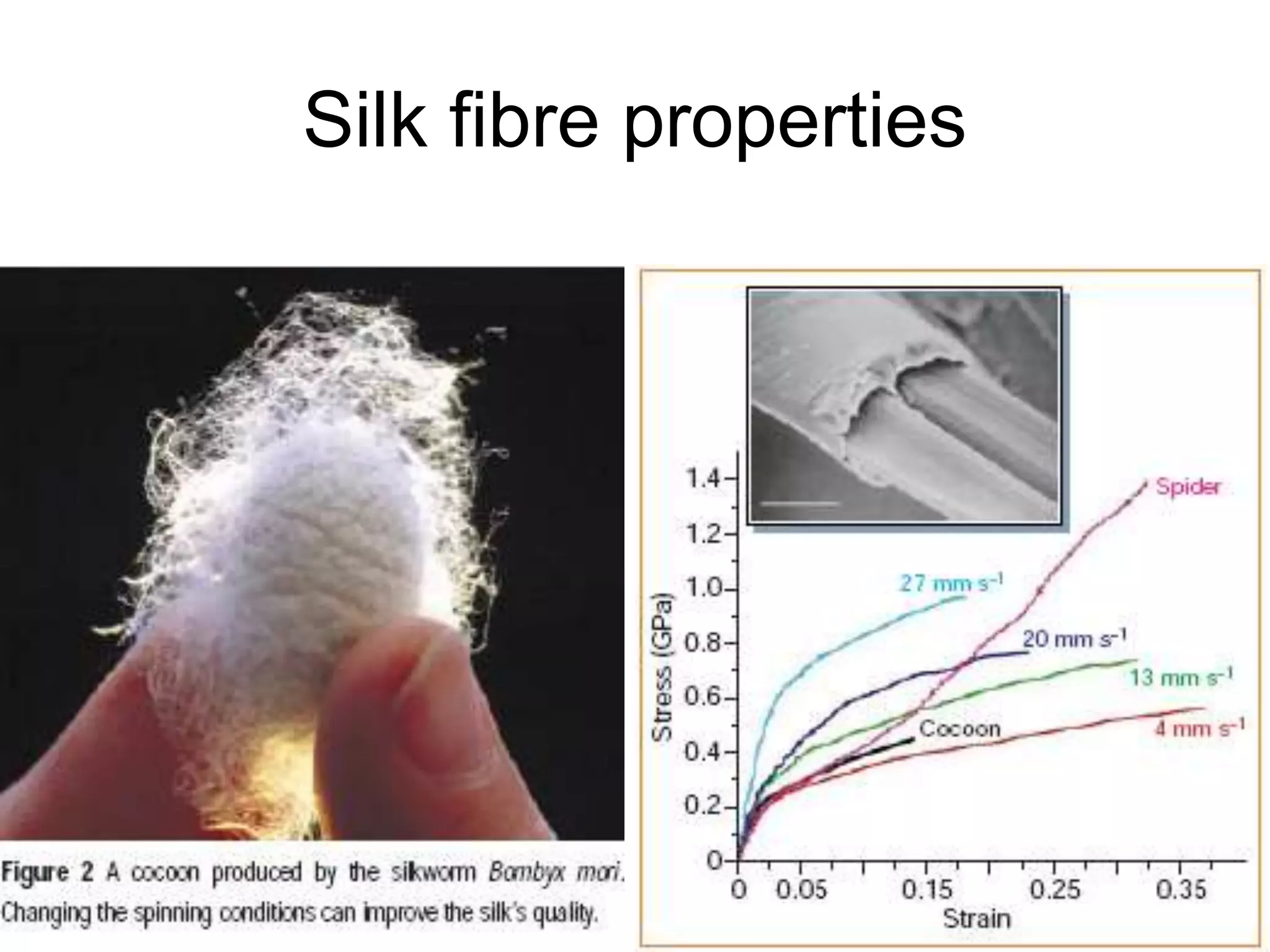 8/18/2022 98
Silk fibre properties
 