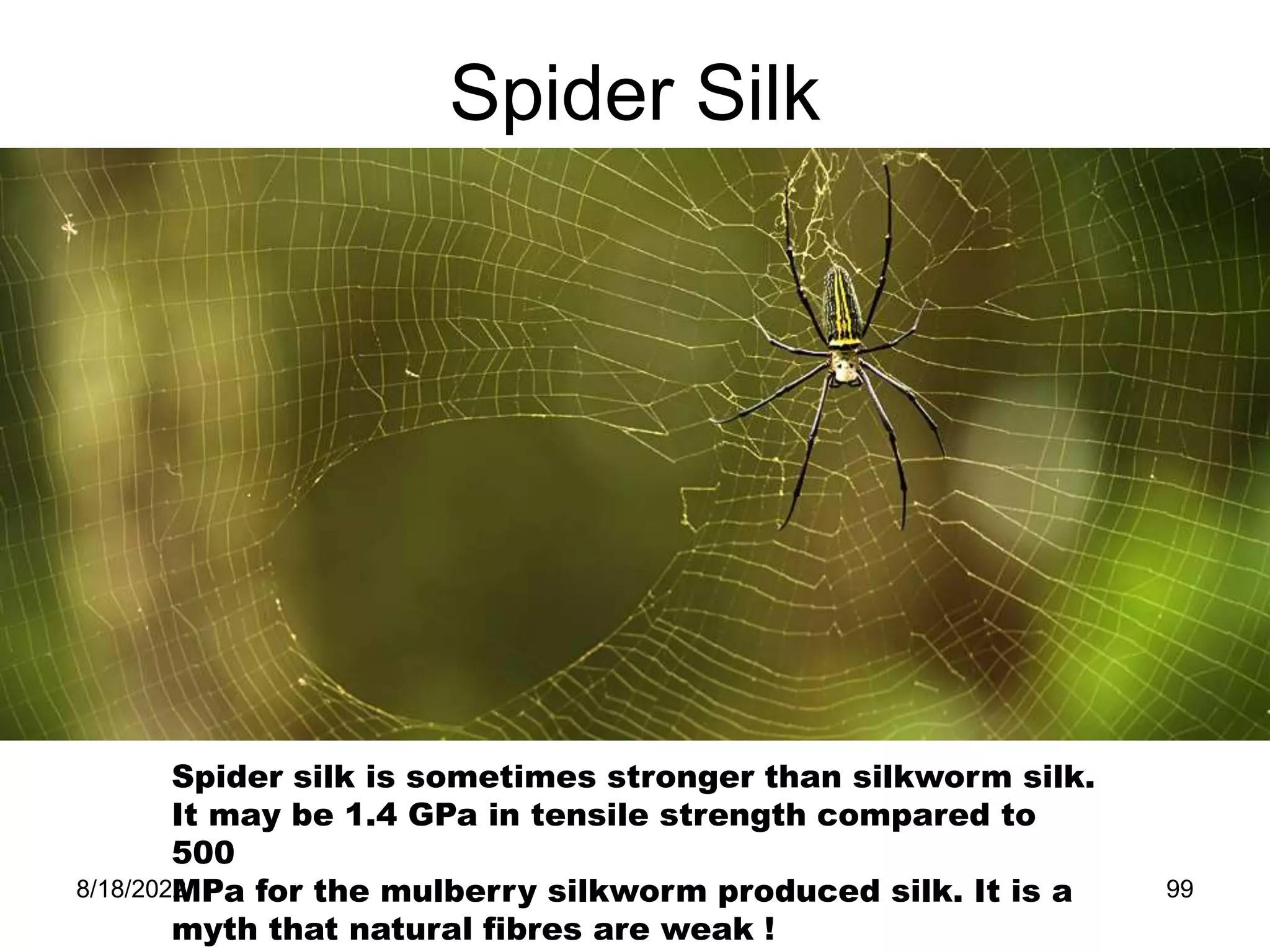 8/18/2022 99
Spider Silk
Spider silk is sometimes stronger than silkworm silk.
It may be 1.4 GPa in tensile strength compared to
500
MPa for the mulberry silkworm produced silk. It is a
myth that natural fibres are weak !
 