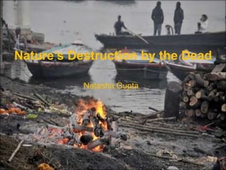Natasha Gupta
Nature’s Destruction by the Dead
 